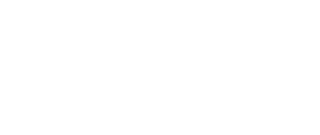 secumax congo